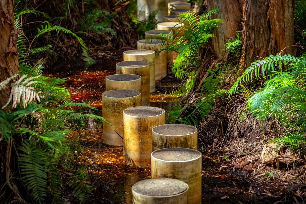 Paperbark,Forest,Boardwalk,In,Agnes,Water,,Queensland,,Australia